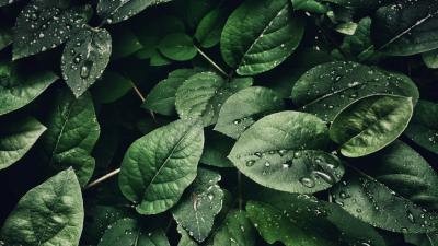 Aktuální informace