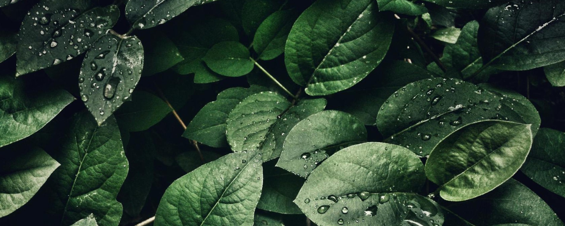 Aktuální informace