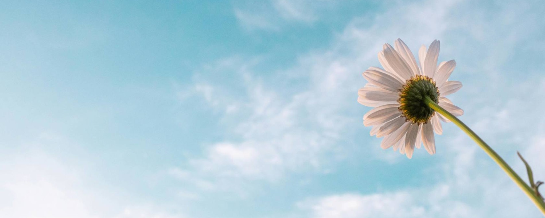 Společná bohoslužba CB a KS